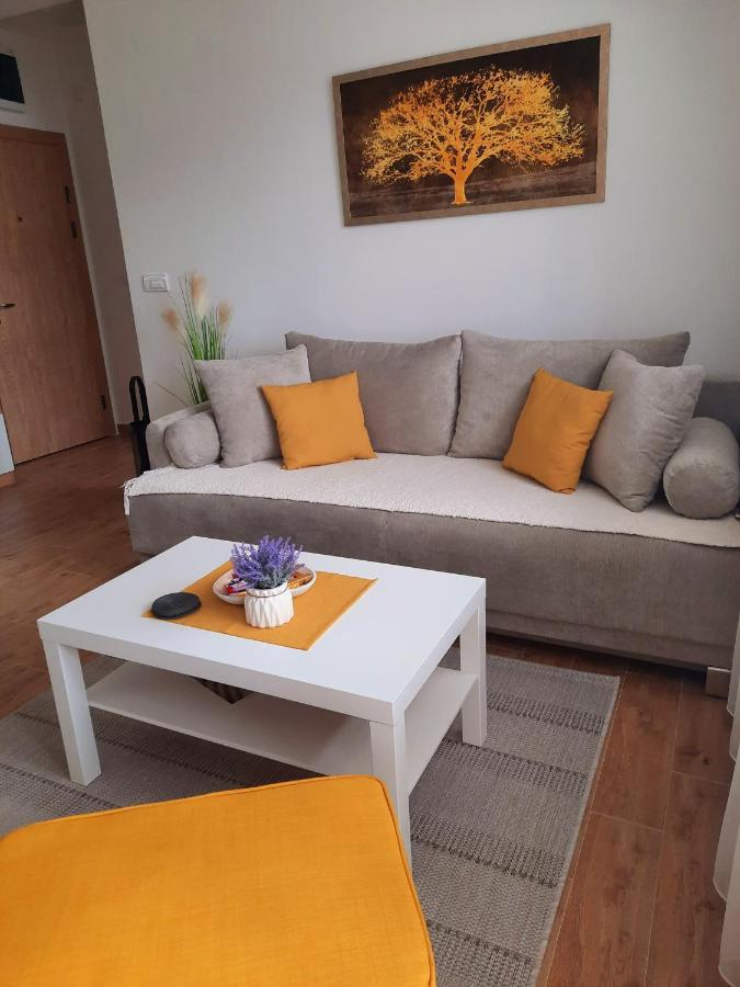 Bankovic Apartman Vrnjačka Banja Buitenkant foto