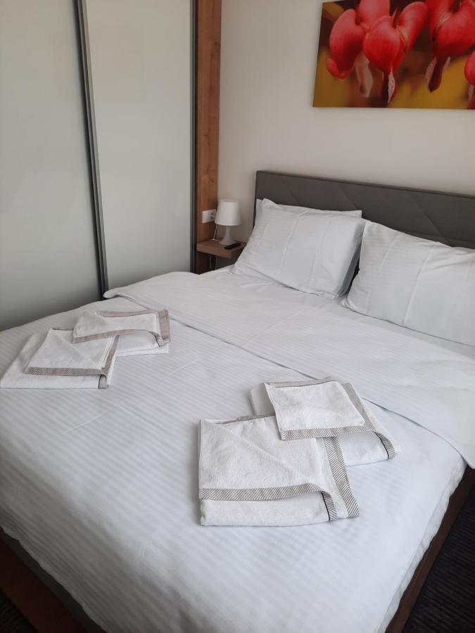 Bankovic Apartman Vrnjačka Banja Buitenkant foto