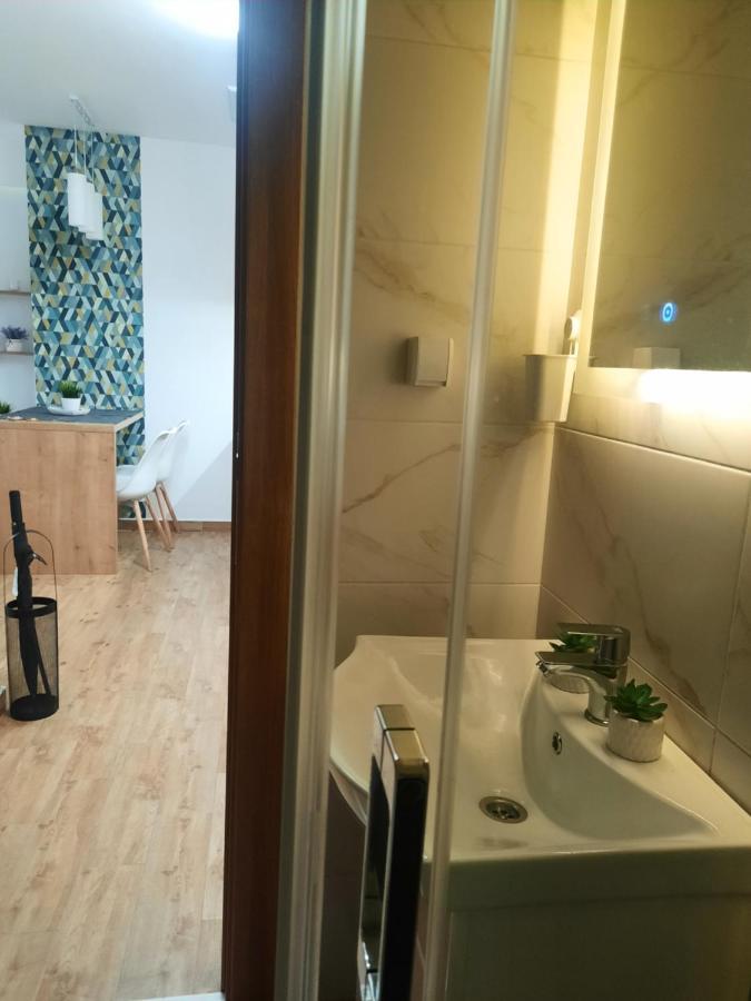 Bankovic Apartman Vrnjačka Banja Buitenkant foto