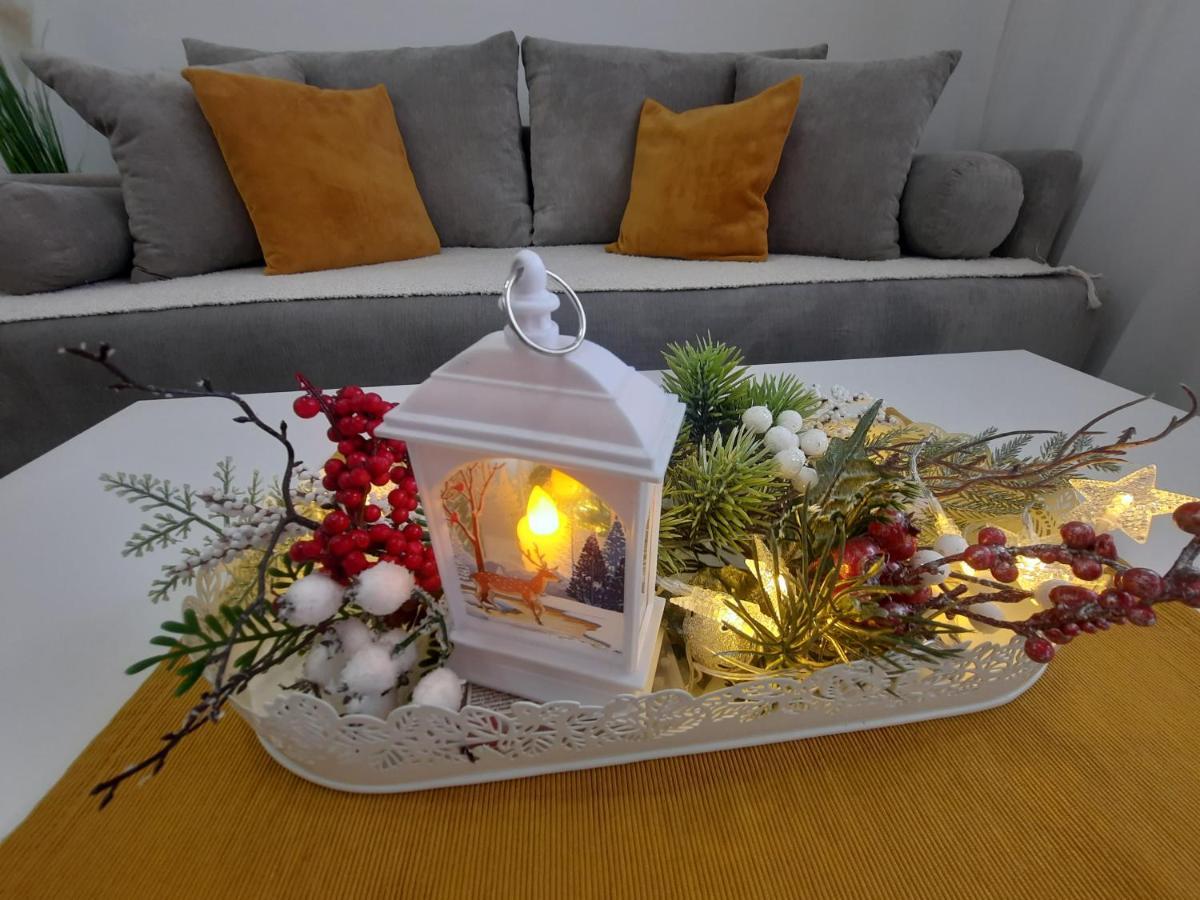 Bankovic Apartman Vrnjačka Banja Buitenkant foto